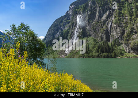 Paysage de montagne idyllique dans les Alpes avec fleurs, lac de montagne et cascade. Stillup, Stillup Lake, en Autriche, le Tyrol Banque D'Images