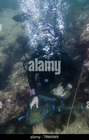 Les membres du Club de plongée Calypso vu ici de la mer poubelle de compensation le long de la Corniche de Beyrouth. Les libanais sont sortis en masse dimanche, pour aider dehors avec une journée de nettoyage de plage nationale dirigée par le Ministre libanais de l'environnement. Ils ont non seulement recueillir les débris de leurs plages à plus de 150 endroits, des équipes de plongeurs aussi passé leur dimanche sous l'eau, l'élimination des déchets de tout le monde de l'océan. Beyrouth, Liban, 9//6/2019 Banque D'Images