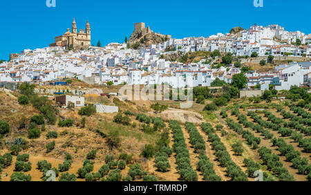 Vue panoramique dans Olvera, province de Cadix, Andalousie, espagne. Banque D'Images