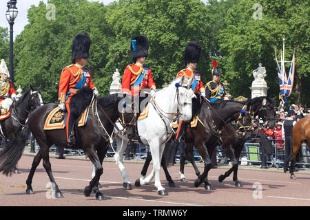 Prince de Galles, le Colonel Royal du Welsh Guards, duc de Cambridge, Irish Guards, duc de York, Grenadier Guards, princesse royale, Blues et Royals Banque D'Images