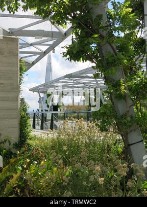 L'un des quartiers les plus nouveaux espaces verts sur le toit qui offre une vue spectaculaire sur la ville ; le jardin, 120 Fenchurch Street Banque D'Images