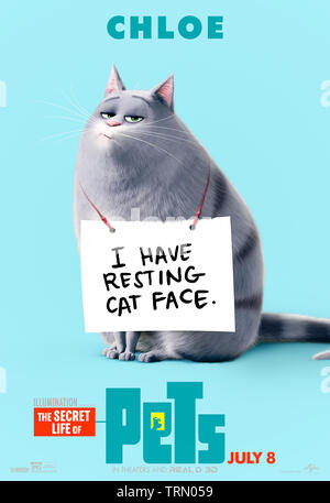 The Secret Life of Pets 2 (2019) réalisé par Chris Renaud et Jonathan del Val et mettant en vedette Chloe exprimé par Lake Bell. Suite animée sur ce que les animaux de compagnie peuvent atteindre pendant que leurs propriétaires sont dehors pour la journée. Banque D'Images