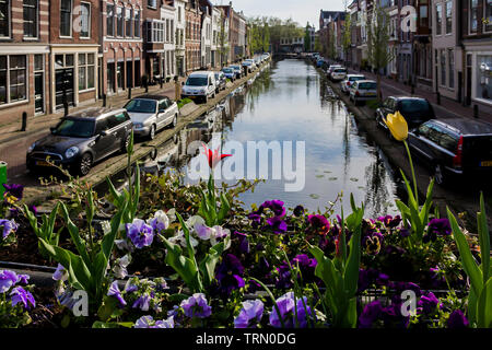 Gouda, Hollande, Pays-Bas, Avril 23, 2019, des vélos garés près d'un pont dans une rue de la vieille ville de Gouda. Fleurs (tulipes) sur l'avant-plan dans un flux Banque D'Images