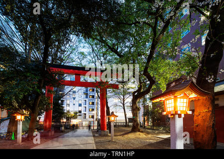 L'Asie, Japon, Tokyo, le printemps les fleurs de cerisier, Shinjuku, Hanazono Shrine Banque D'Images