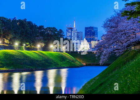 L'Asie, Japon, Tokyo, Chiyoda, bâtiment de la Diète nationale, printemps fleurs de cerisier Banque D'Images