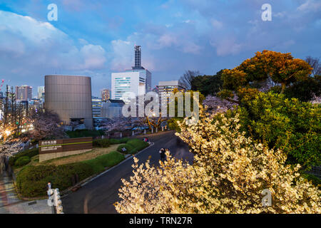 L'Asie, Japon, Tokyo, Chiyoda ku, Chidorigafuchi, printemps fleurs de cerisier Banque D'Images