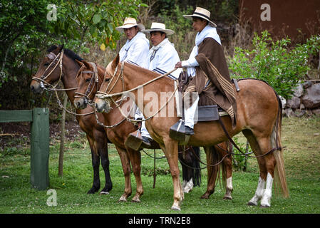 Hacienda Huayoccari, Cusco, Pérou - 13 Oct 2018 : démonstration de Chevaux Paso péruviens Banque D'Images