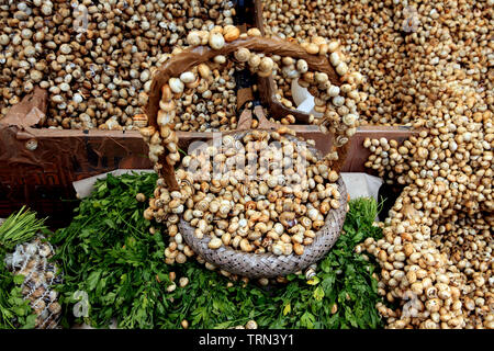 Les petites créatures ressemblant à des escargots à la vente sur le marché Ballaro à Palerme Sicile Banque D'Images