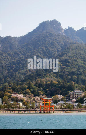 L'Asie, Japon, Honshu, préfecture de Hiroshima, l'île de Miyajima, torii flottant d'Itsukushima jinja, site de l'Unesco Banque D'Images