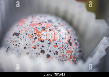 Comme des oeufs praliné, dans des tons pastel Banque D'Images