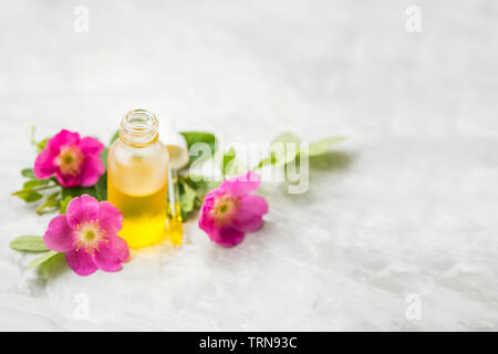 Bouteille de l'huile de rose musquée , gros plan focus sélectif avec fleurs de rose musquée pipette et bouteille en verre Banque D'Images