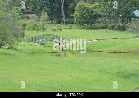 Pont dans un parc Banque D'Images