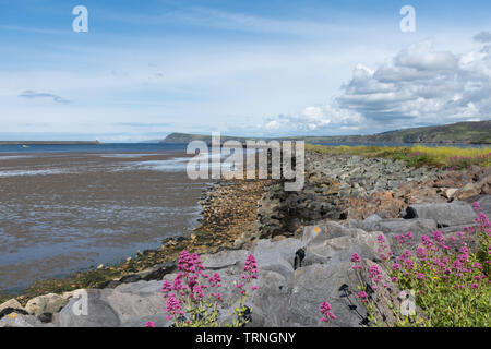 La plage, le mur du port et de paysages côtiers à Goodwick Pembrokeshire dans près de Fishguard, Pays de Galles, Royaume-Uni, au cours de l'été Banque D'Images