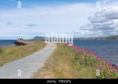 La plage, le mur du port et de paysages côtiers à Goodwick Pembrokeshire dans près de Fishguard, Pays de Galles, Royaume-Uni, au cours de l'été Banque D'Images