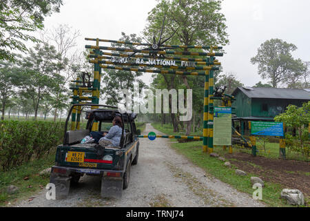 Gorumara national park paysage dans le nord du Bengale Inde Dooars Banque D'Images