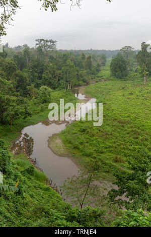 Gorumara national park paysage dans le nord du Bengale Inde Dooars Banque D'Images