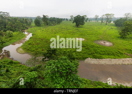 Gorumara national park paysage dans le nord du Bengale Inde Dooars Banque D'Images