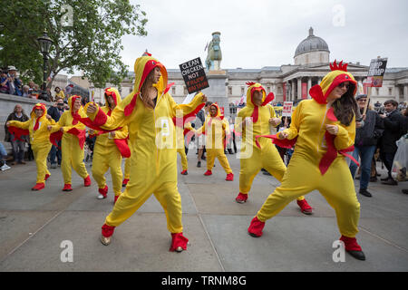 Les spectacles de danse de poulet chloré à Trafalgar Square dans le cadre des manifestations contre le président américain, Donald Trump's UK visite d'état. Banque D'Images