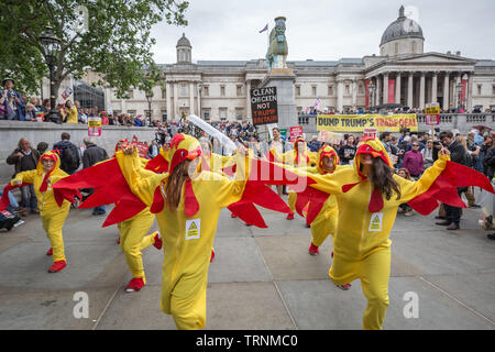 Les spectacles de danse de poulet chloré à Trafalgar Square dans le cadre des manifestations contre le président américain, Donald Trump's UK visite d'état. Banque D'Images