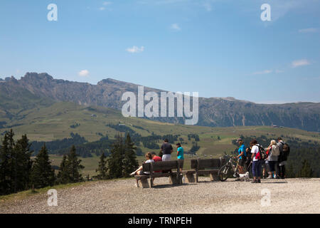 Le Naturpark Schlern Rosengarten vu de prés généralisée et les forêts de l'été Alpe di Siusi Ortisei Val Gardena Dolomites Italie Banque D'Images