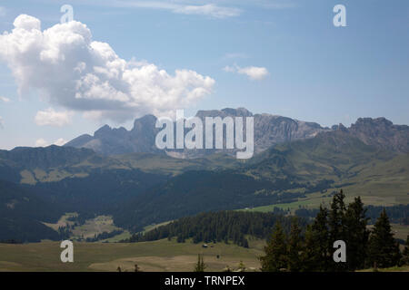 Le Naturpark Schlern Rosengarten vu de prés généralisée et les forêts de l'été Alpe di Siusi Ortisei Val Gardena Dolomites Italie Banque D'Images