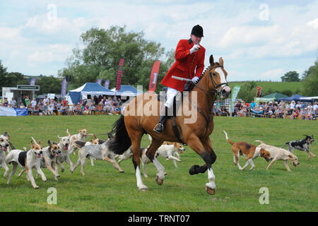 Herefordshire Country Fair 2015 - Château Meadow, Caradoc. L'Herefordshire Hunt Maître Paul Oliver, condamné en juin 2019 de la cruauté envers les animaux. Banque D'Images