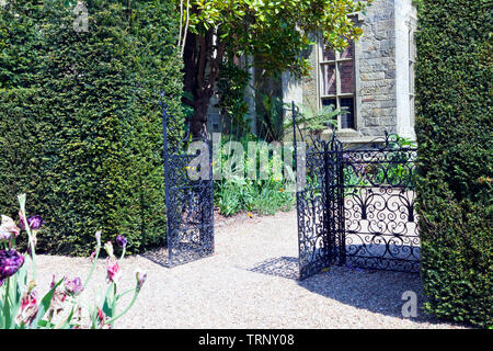 Ouvrir la porte de fer noir entre dans une haie taillée dans un jardin d'été campagne anglaise . Banque D'Images