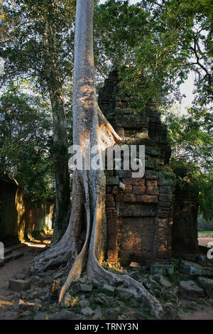 L'enceinte extérieure, Ta Prohm, Angkor, Siem Reap, Cambodge Banque D'Images