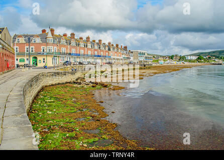 Une vue le long de la plage de Swanage parsemé d'algues colorés avec un clapotis vitreux sur la mer colorée un matin d'été Banque D'Images