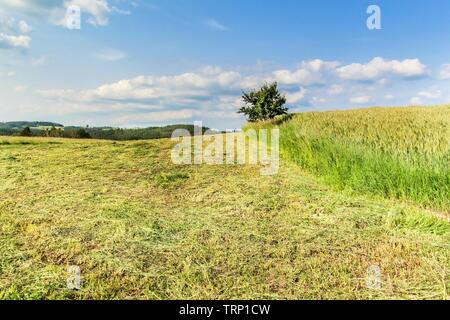 Le fauchage des prairies dans la République tchèque - l'Europe. Paysage agricole. Journée d'été à la ferme. Banque D'Images