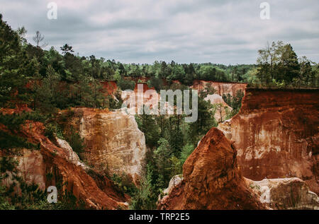 Photo de Providence Canyon, Ga. Banque D'Images