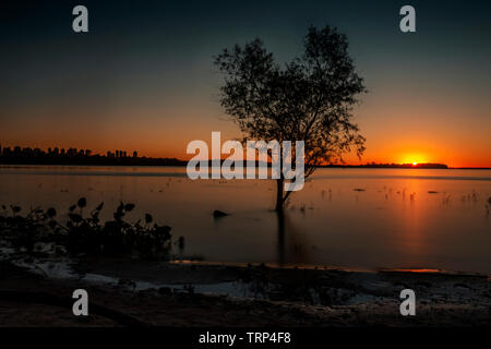 Une longue exposition d'un arbre en forme de coeur dans le fleuve Paraná montrant l'effet de l'eau soyeuse Banque D'Images