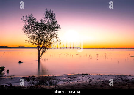 Une longue exposition d'un arbre en forme de coeur dans le fleuve Paraná montrant l'effet de l'eau soyeuse Banque D'Images