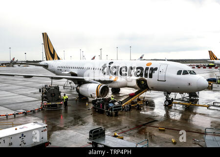 Tiger Airways jet Airbus Melbourne Australie Banque D'Images