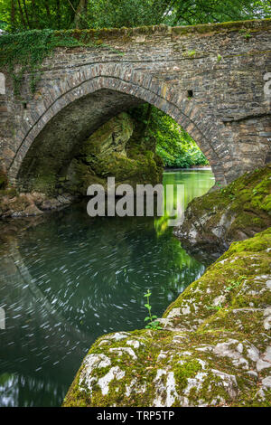 Denham Pont sur la rivière Tavy est populaire auprès des amateurs de sensations fortes qui sautent dans la piscine profonde ci-dessous qui est signalé à être quarante sept pieds de profondeur. L Banque D'Images