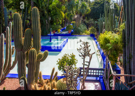 Célèbre jardin de cactus de Majorelle à Marrakech, Maroc. Monument de cette ville de Marrakech. Couturier français Yve Saint Laurent restauré Banque D'Images