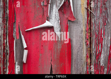 Close-up of neglected surmonté de la peinture rouge vif et des poutres en bois sur le panneau latéral de l'ancienne gare marchandises wagon à Didcot Railway Centre, Oxfordshire Banque D'Images