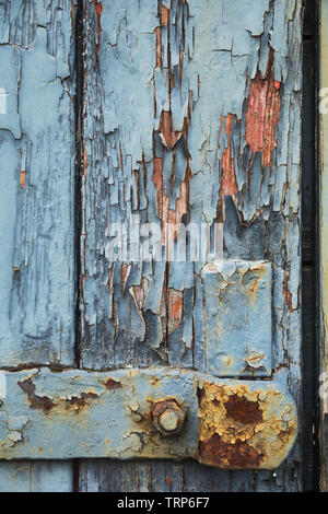Close-up of neglected fissurées et altérées peeling peinture bleu pâle sur le panneau latéral du vieux train en bois wagon de marchandises à Didcot Railway Centre, l'Oxfordshire. Banque D'Images