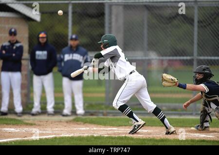 Hitter essayant d'obtenir vers le bas un sacrifice bunt. USA. Banque D'Images