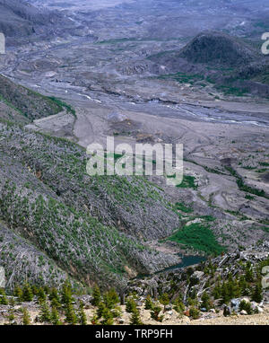 USA, Washington, Mt. Saint Helens Monument Volcanique National, souffert de l'érosion de la vallée de la rivière North Fork Toutle. Banque D'Images