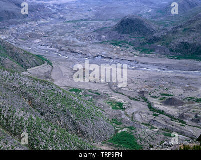 USA, Washington, Mt. Saint Helens Monument Volcanique National, souffert de l'érosion de la vallée de la rivière North Fork Toutle. Banque D'Images