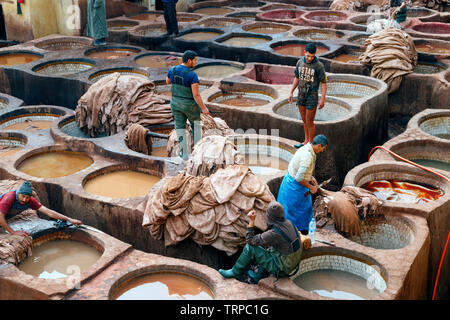 Les liquides de bronzage avec des bassins et des travailleurs de la production et de la teinture du cuir dans une façon traditionnelle à la tannerie Chouara. Fes, Maroc. Banque D'Images