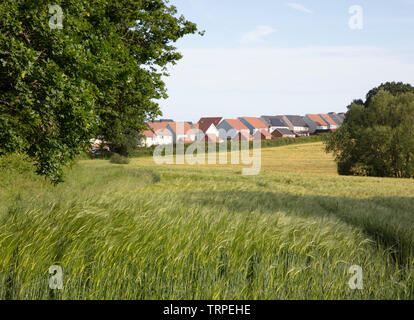 Nouvelles maisons, les maisons construites sur les nouveaux sites agricoles, terres agricoles, de verdure, de développement urbain à Burgess Hill West Sussex Banque D'Images