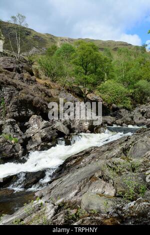 Les roches de la rivière Towy circulant dans la vallée rocheuse et arbres au printemps Gwenffryd Dinas Nature Reserve La Towy Valley Rhandirmwyn Galle Carmarthenshire Banque D'Images