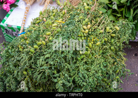 Pois chiches frais branches sur le marché Banque D'Images