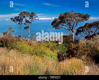 Parc National du Mont Kinabalu, Sabah, Malaisie Orientale. Sentier du sommet, vue à 3200 mètres Banque D'Images
