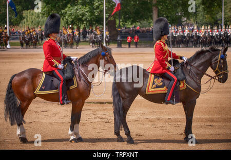 Horse Guards Parade. 8 juin 2019. Parade la couleur, l'anniversaire de la Reine Parade, Londres, Royaume-Uni. Credit : Malcolm Park/Alamy Banque D'Images