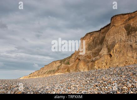 Weybourne falaises du golden hour, Norfolk Banque D'Images