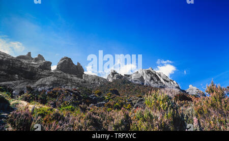 Parc National du Mont Kinabalu, Sabah, Malaisie Orientale. Sentier du sommet, vue à 3200 mètres, montrant l'habitat comme scrub. Banque D'Images