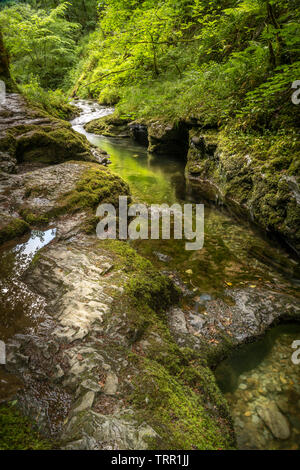 Gorge de Lydford Gorge de la rivière est la plus profonde dans le sud-ouest de l'Angleterre. Tournant au sud-ouest du village pittoresque de b-3660, la gorge est un l'un Banque D'Images